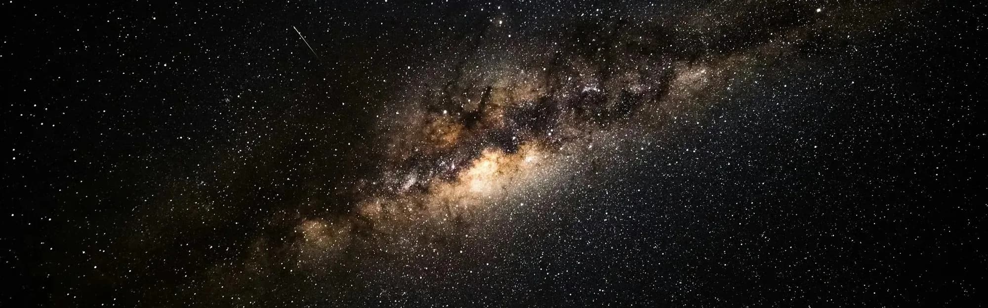 Detaylı Bireysel Analiz