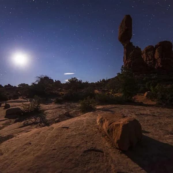 Detaylı Bireysel Analiz